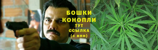 сатива Гусиноозёрск