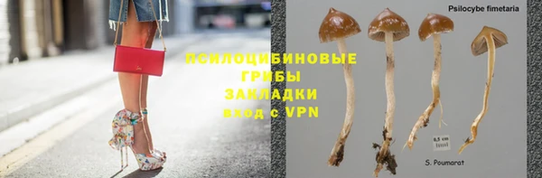 дживик Михайловск
