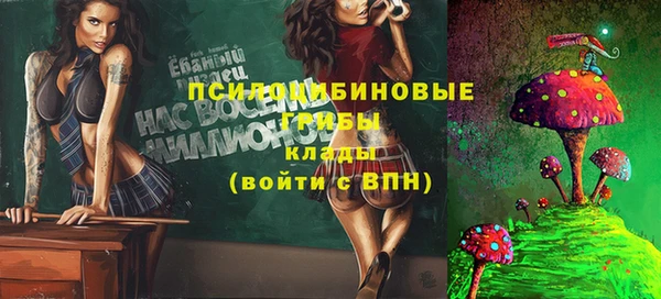 дживик Михайловск