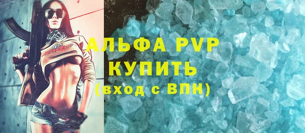 спиды Михайлов