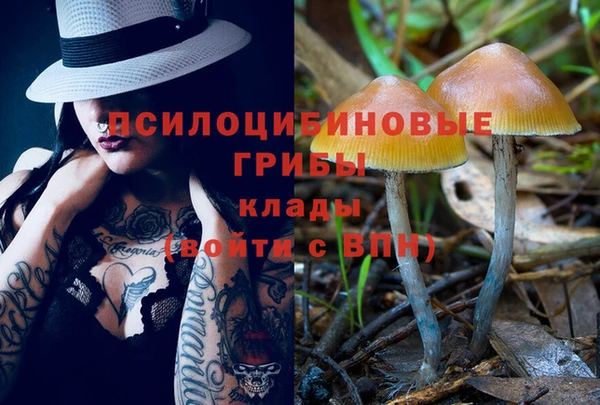 спиды Михайлов